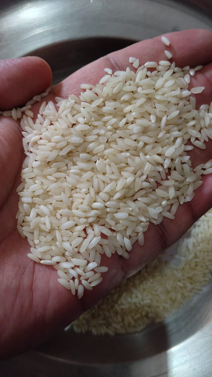 Sona Masoori Steam Rice